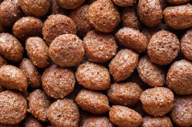 Croquetas procesadas vs comida natural