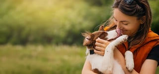 Smiling woman in an orange vest holds her Border Collie puppy